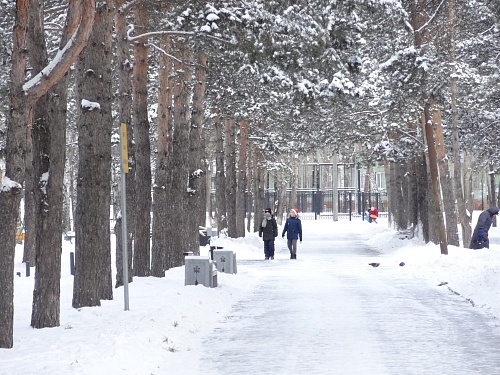Проект «Окружающий мир» объединил более 20 тысяч человек