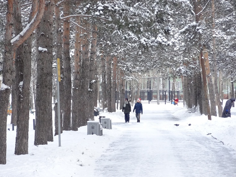 Проект «Окружающий мир» объединил более 20 тысяч человек