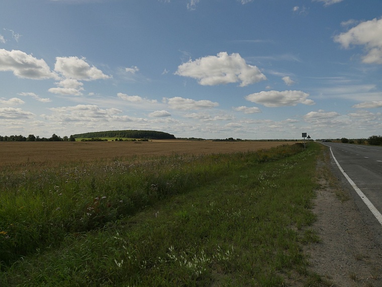 Испытано на себе: как мы кедровые шишки собирали