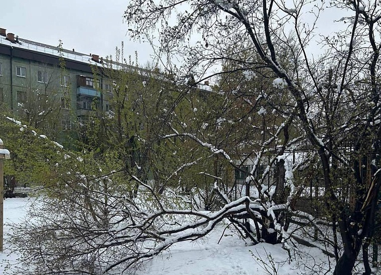 Тюменские энергетики вывели на ремонт сетей после снегопада дополнительные силы