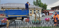 В Ишиме отреставрируют ретро-лебедей