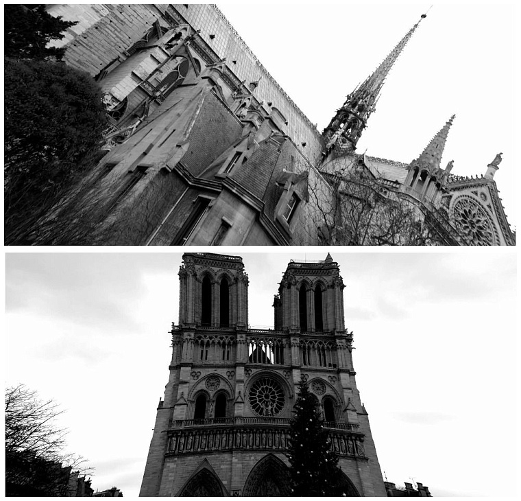 Тюменцы остались без Нотр-Дама