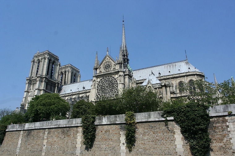 Тюменцы остались без Нотр-Дама