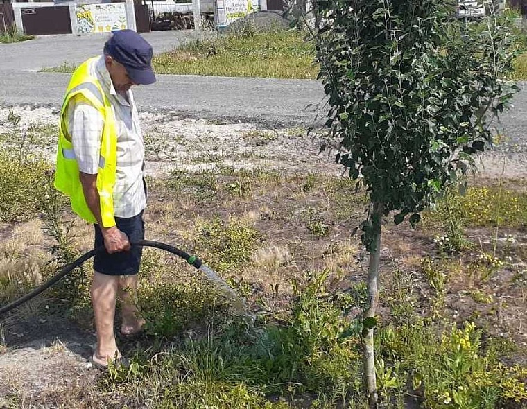 В Тюмени побит температурный рекорд! Как городские службы спасают асфальт и деревья