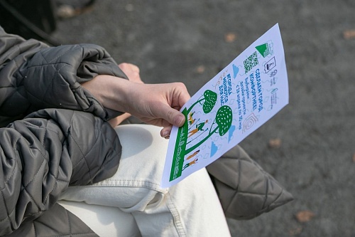 Голосование за благоустройство территорий: когда, где и как голосовать