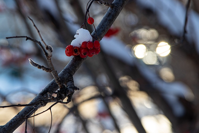 Народные приметы на 3 ноября: если снег ляжет на сырую землю и не растает - весна придет рано