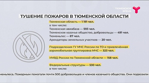 Тушением пожаров в Тюменской области занимались более 2 000 человек