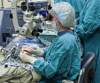 Тюменские врачи удалили из глаза страдающей пациентки шерсть собаки