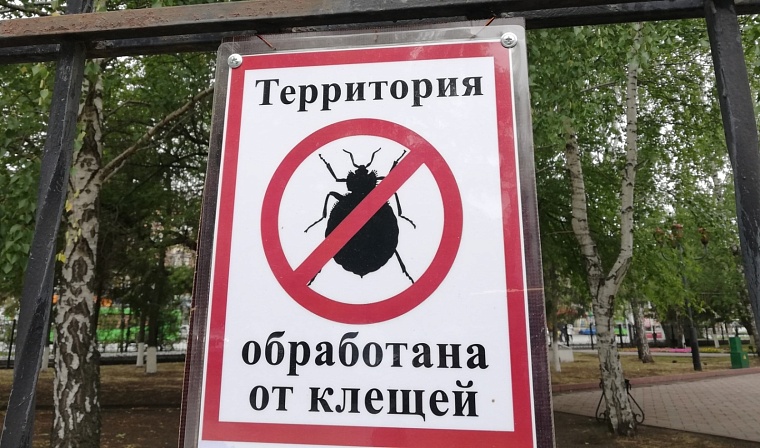 Плановая обработка от клещей в Тюменской области начнется с апреля