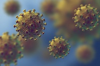 В Тюменской области за сутки выявлено 90 новых случаев коронавируса