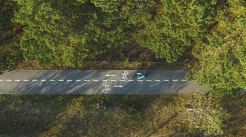 К 80-летию Тюменской области высадят 80 тысяч деревьев