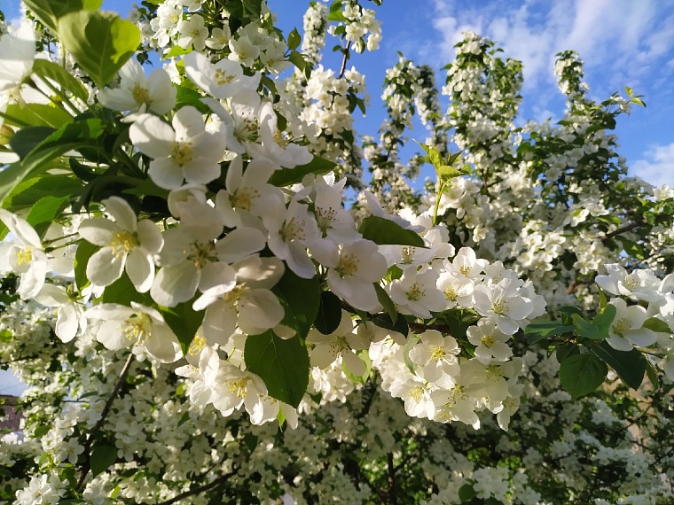 Народные приметы: солнечный день - к жаркому лету