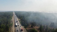Лесной пожар в районе яхт-клуба "Рубин" локализован