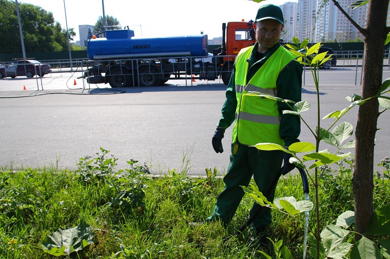Тюменские деревья поливают по ночам с секундомером