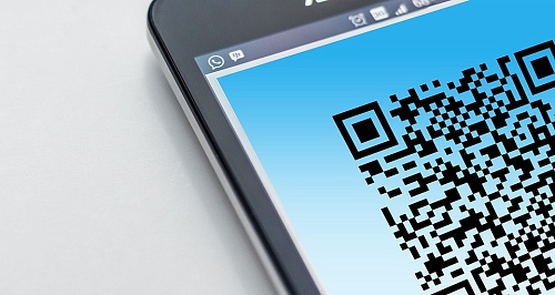 Если не паспорт, то что? Какие документы подойдут при проверке QR-кода