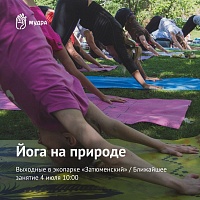 Афиша на уик-энд: обмен книгами, выставка овчарок и йога в парке
