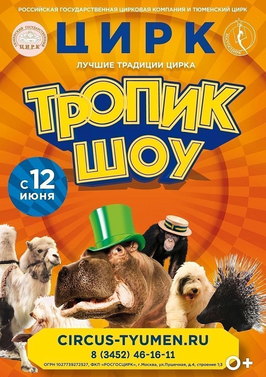 Афиша на уик-энд: обмен книгами, выставка овчарок и йога в парке