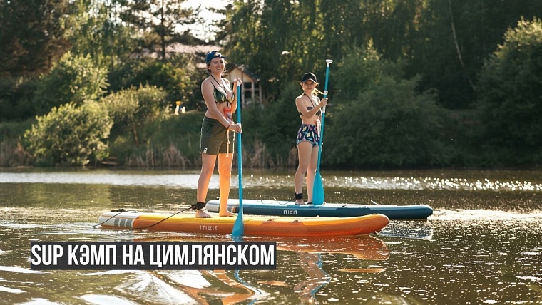 Афиша на уик-энд: обмен книгами, выставка овчарок и йога в парке