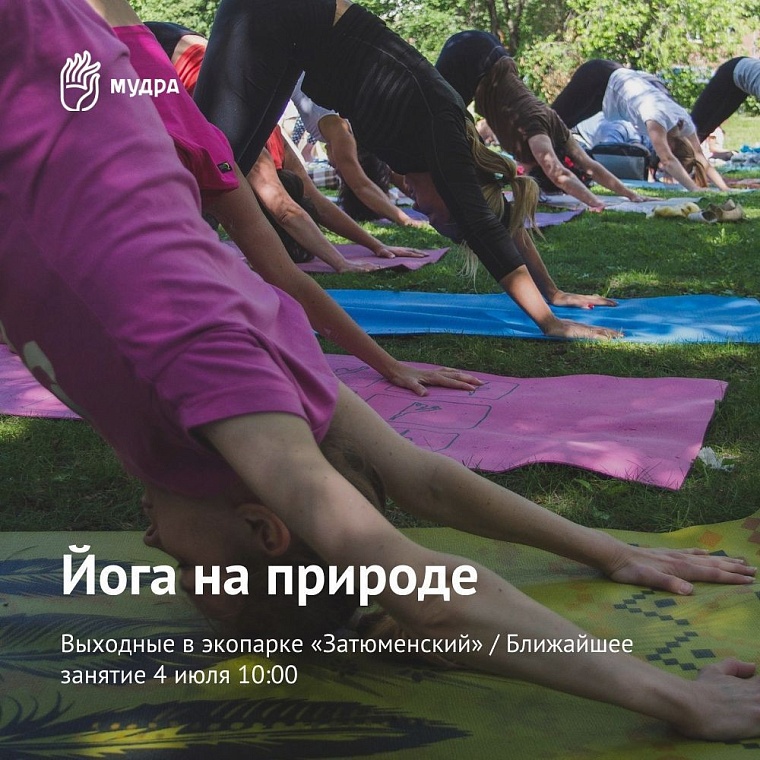 Афиша на уик-энд: обмен книгами, выставка овчарок и йога в парке