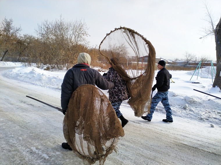 Количество заявок на отлов собак в Тюмени сократилось с четырех до трех тысяч