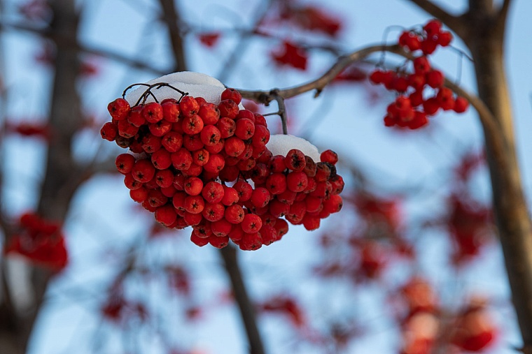 Народные приметы на 13 октября: снег сегодня - зима придет еще не скоро