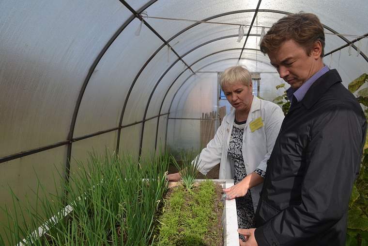 Пациенты отделения милосердия сажают огород, поют и заводят романы