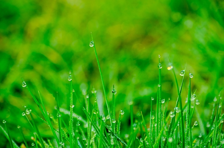 Фото: Pixabay