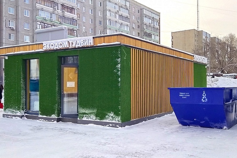 В Тюменской области начали принимать новогодние елки на переработку