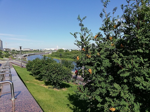 В Тюменской области у шести человек диагностировали клещевые инфекции