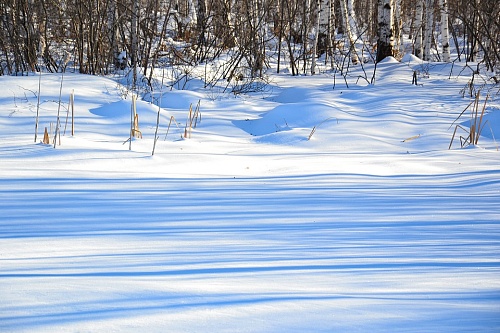 Народные приметы: круглые сугробы - к хорошему урожаю