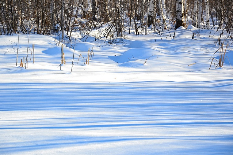 Фото: pixabay.com