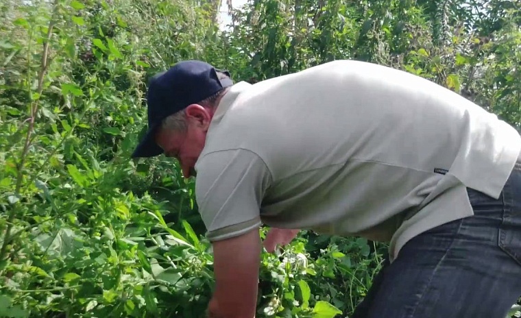 Испытано на себе: ищем возможность быстро заработать