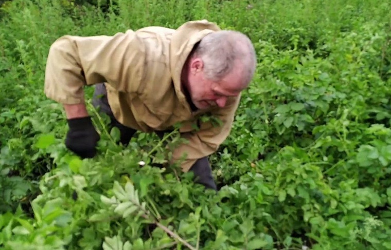 Испытано на себе: ищем возможность быстро заработать