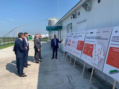 В Исетском районе запустили крупнейший в России племенной репродуктор индейки