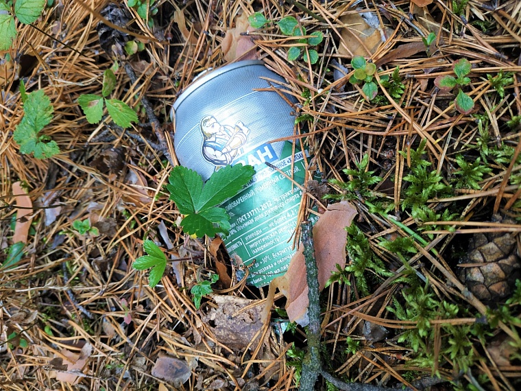 Как сообщить о найденной в лесу свалке