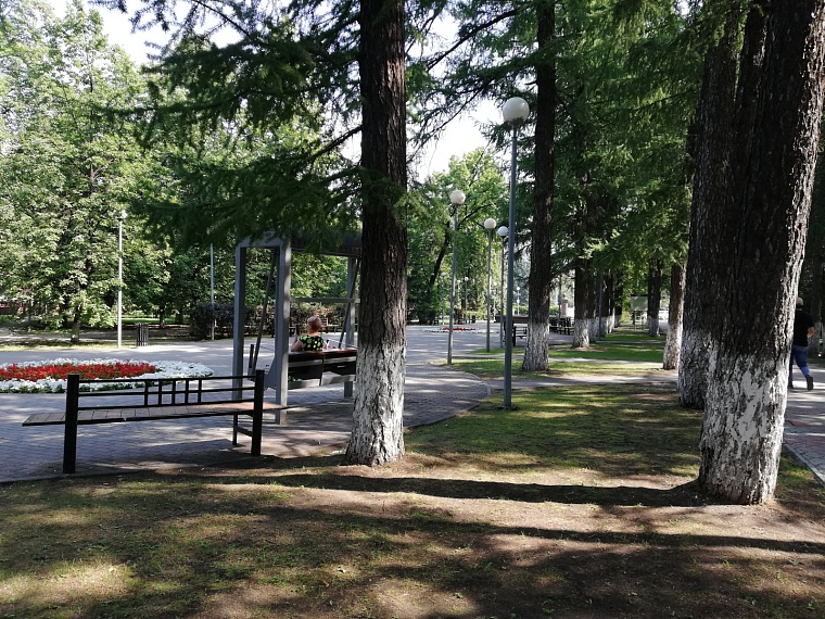 В Тюменской области более 13 тысяч жителей пострадали от клещей