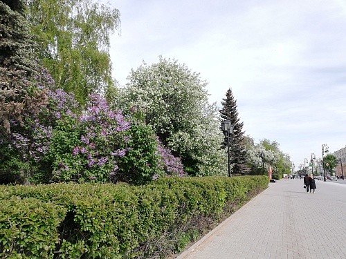 В Тюмени прогнозируют жаркие солнечные дни