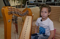 Арфа, гусли, фагот... На каких  редких инструментах можно научиться играть в Тюмени