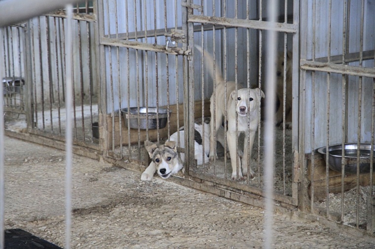 Фото: tyumen-city.ru