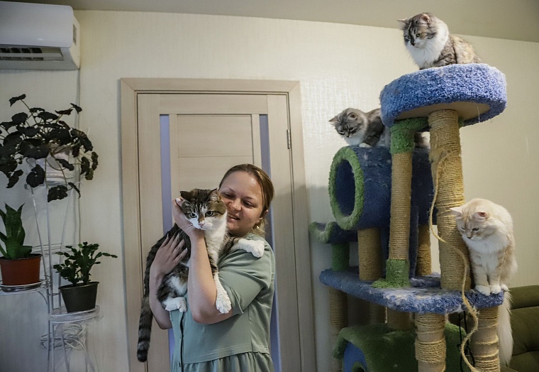 Кот из приюта, покоривший Россию, живет в Тюмени