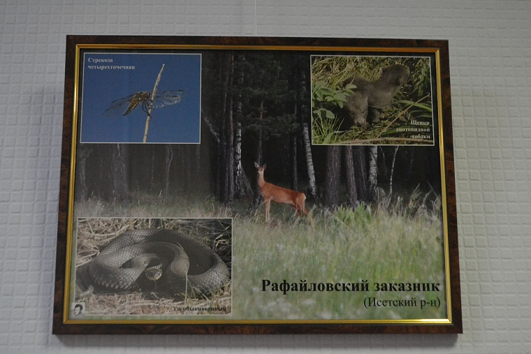 Эколог Ситников пригласил депутатов в экотуры по области на льготных условиях