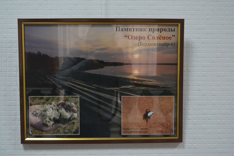 Эколог Ситников пригласил депутатов в экотуры по области на льготных условиях