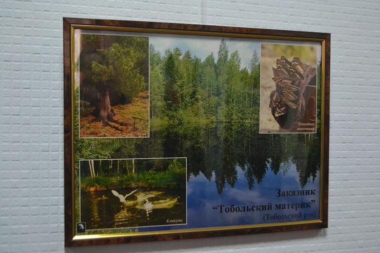 Эколог Ситников пригласил депутатов в экотуры по области на льготных условиях