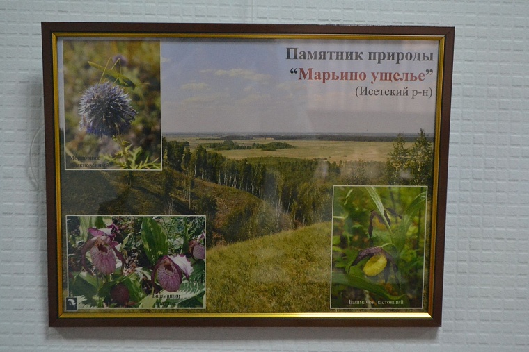 Эколог Ситников пригласил депутатов в экотуры по области на льготных условиях