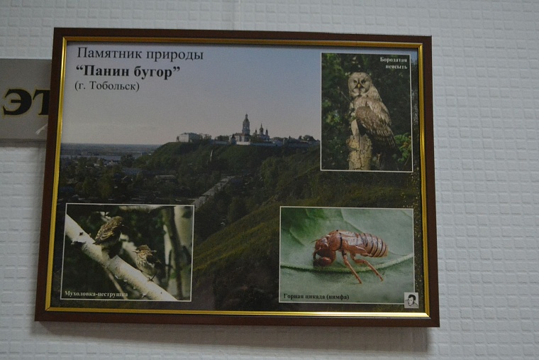Эколог Ситников пригласил депутатов в экотуры по области на льготных условиях