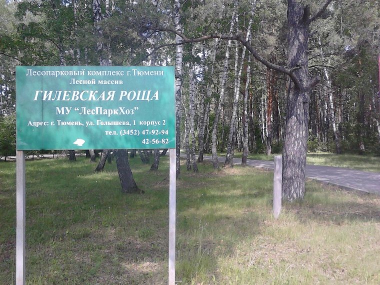 Ручей Ключи в Гилевской роще преобразился до неузнаваемости