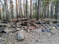 В лесу у Винзилей обнаружили свежую свалку, в которой нашли документы с личными данными