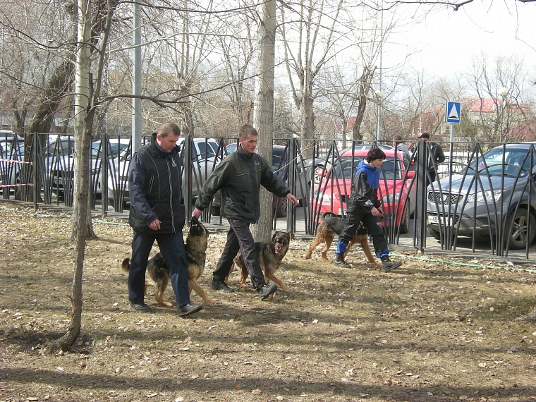 В Комсомольском сквере вспоминали тех, кто ковал Победу на фронте и в тылу