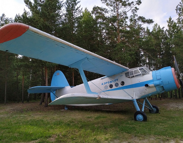 Отдых у воды: плюсы и минусы тюменских пляжей