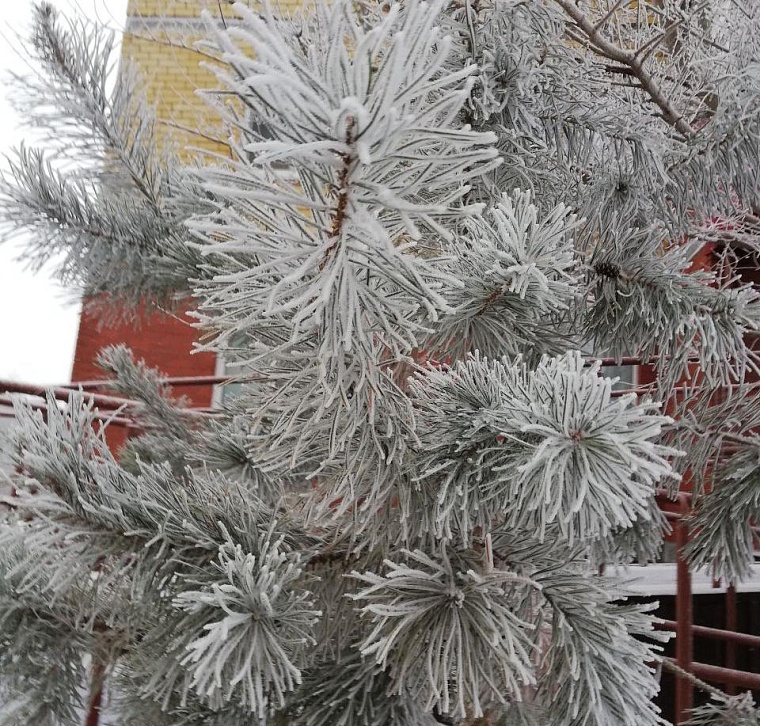 В Тюменской области прогнозируют сильный ветер, метель и заносы